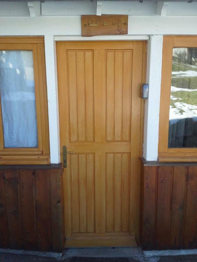 Le Saut Du Cerf Apartamento Gérardmer Exterior foto